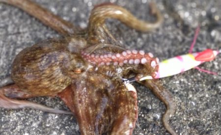 予定変更の姫路行き